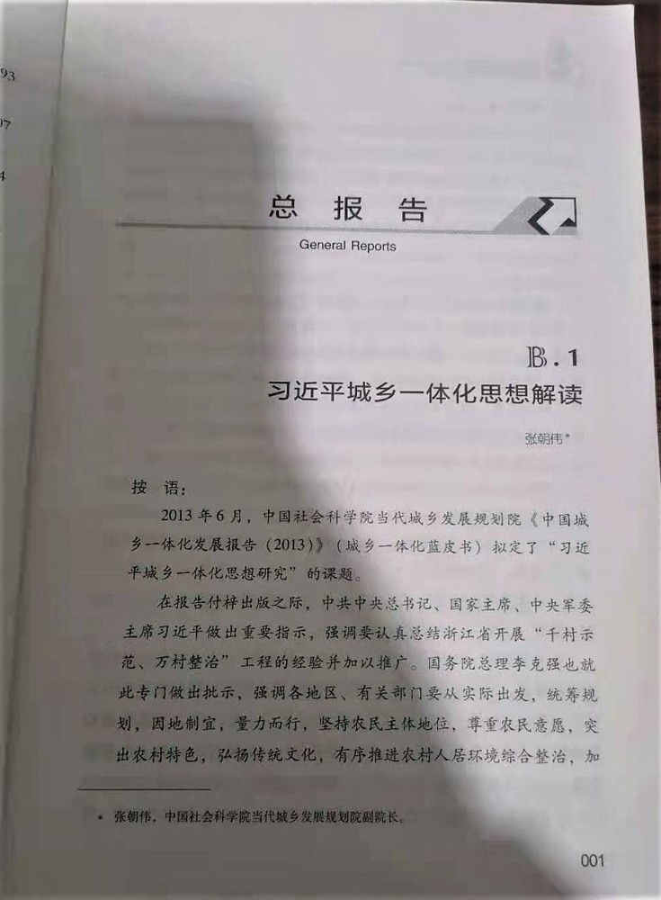 皮书总报告.jpg